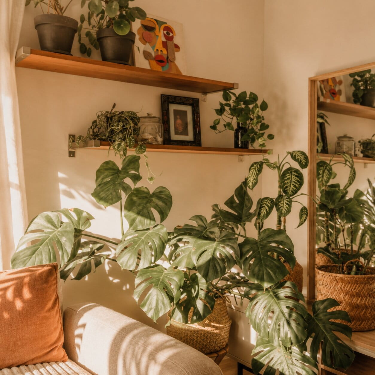 Sunlit home decoration