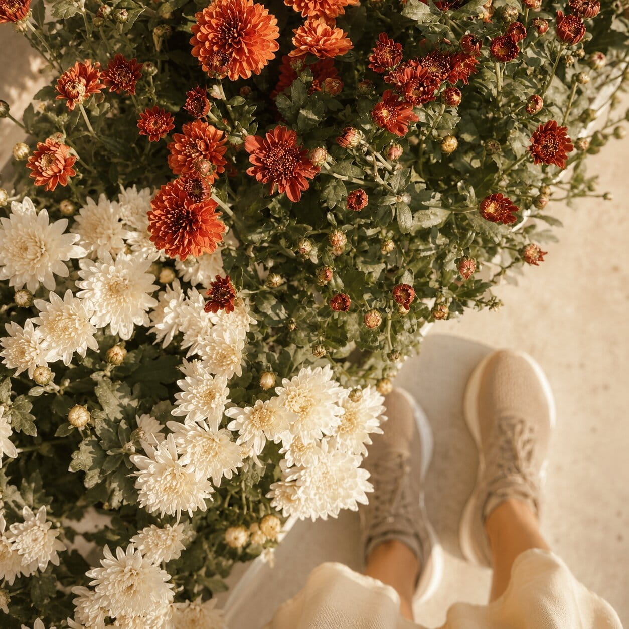 Flowers inside the apartment