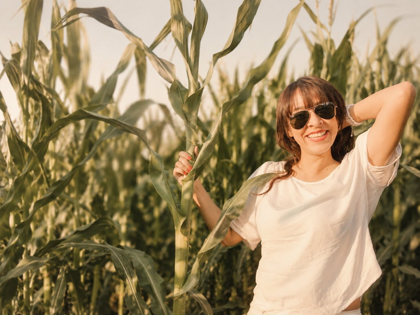 Roza in the cornfield
